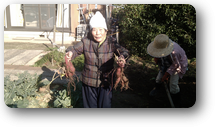 一日の大まかな流れ
